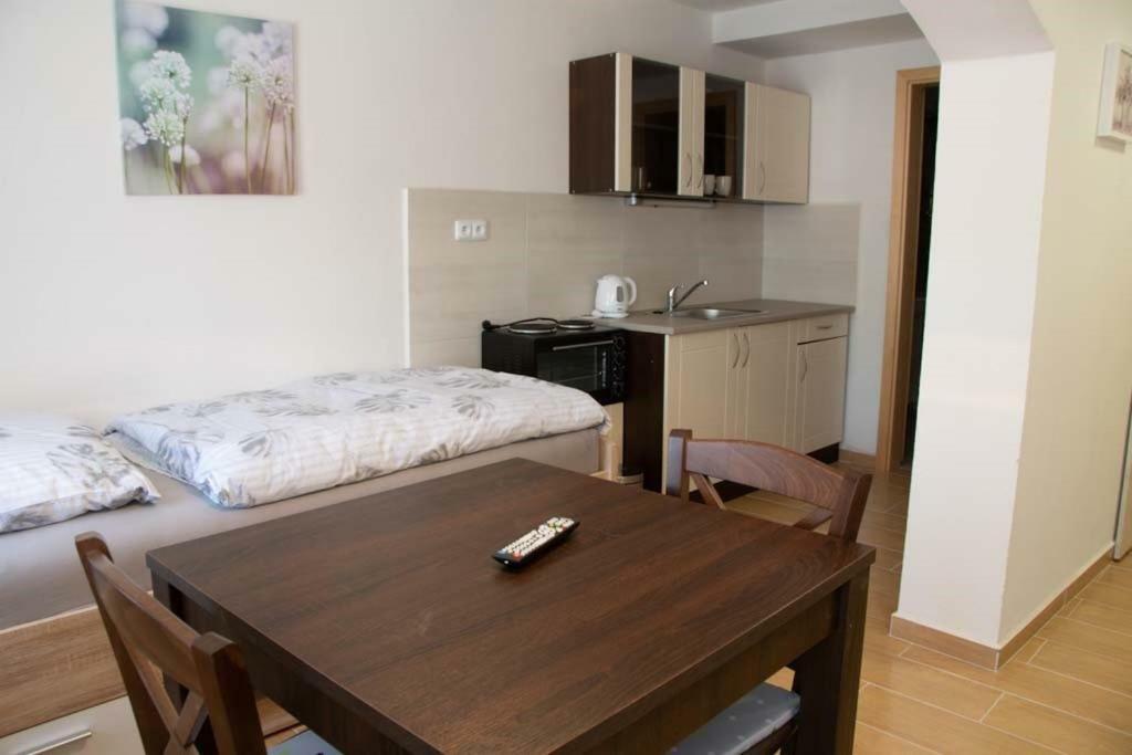 Penzion-Apartman Soucek 因德日赫城堡 外观 照片